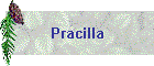 Pracilla